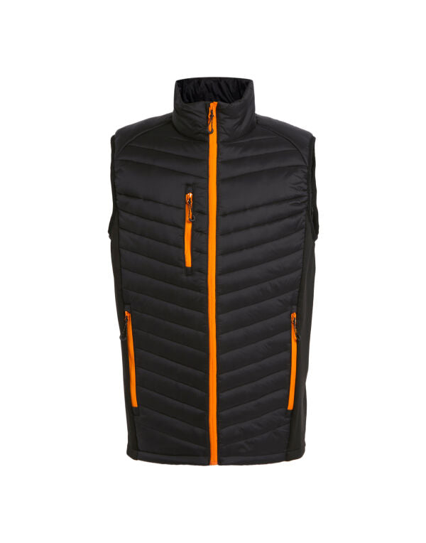 Adult Hybrid Panel Bodywarmer